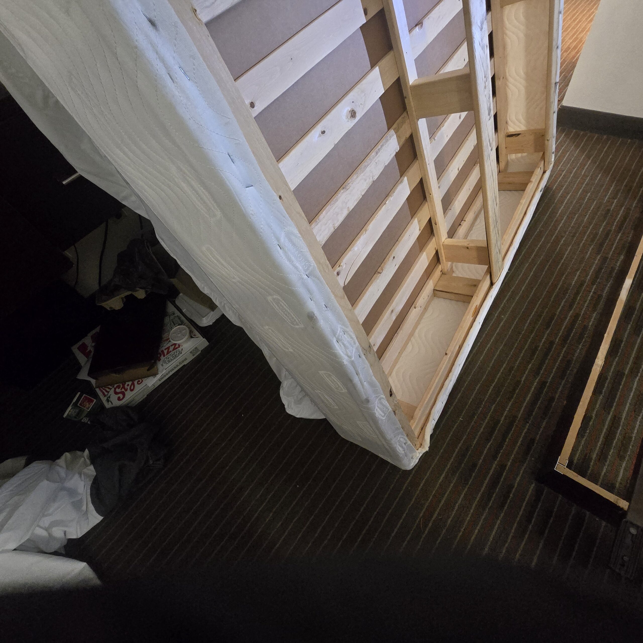 Roberts Pest Control bed bug treatment service in St. Louis