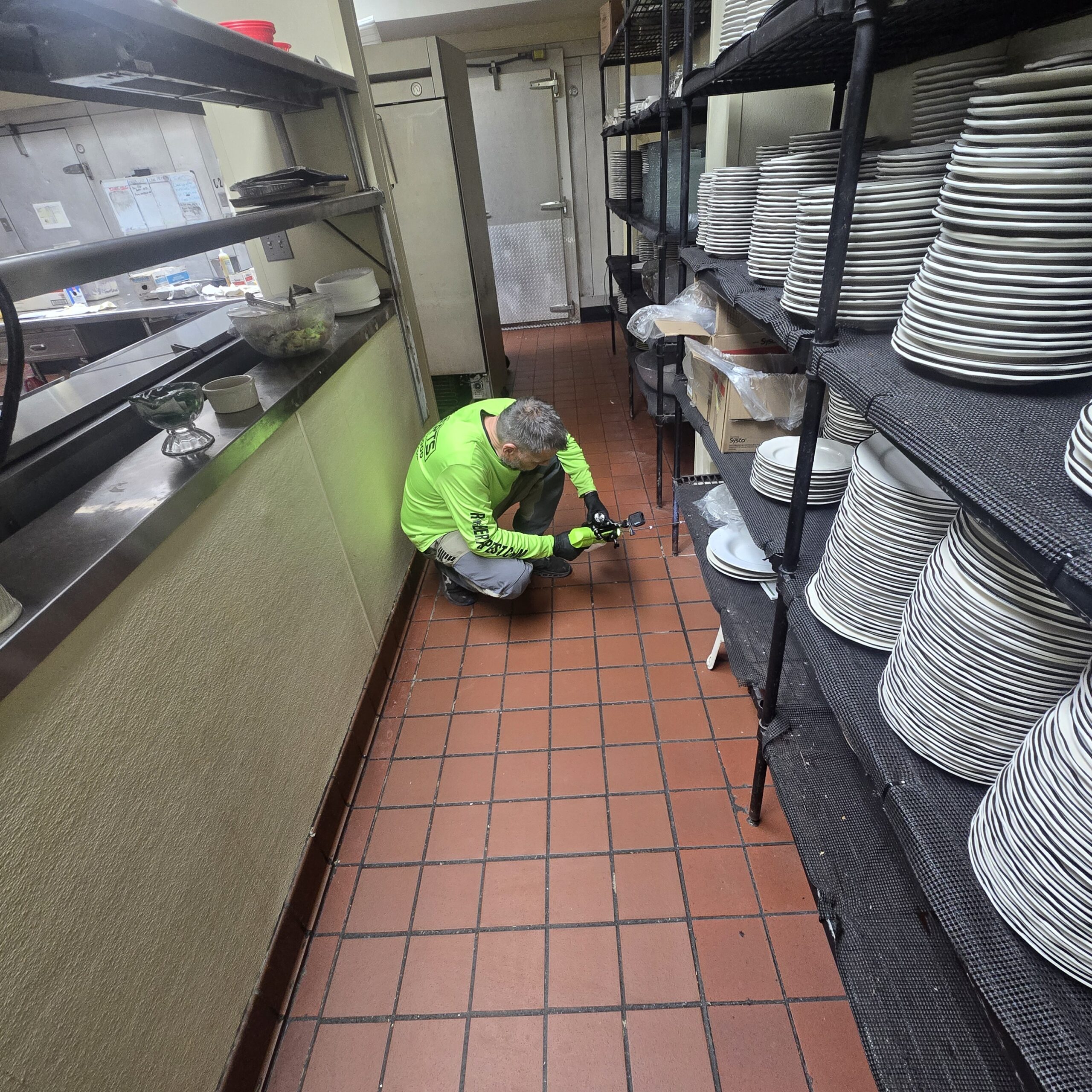Restaurant and food service pest control