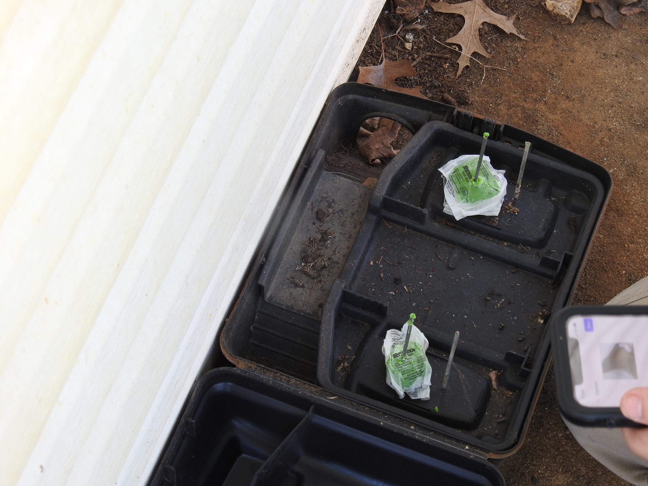 Roberts Pest Control rodent control service in St. Louis