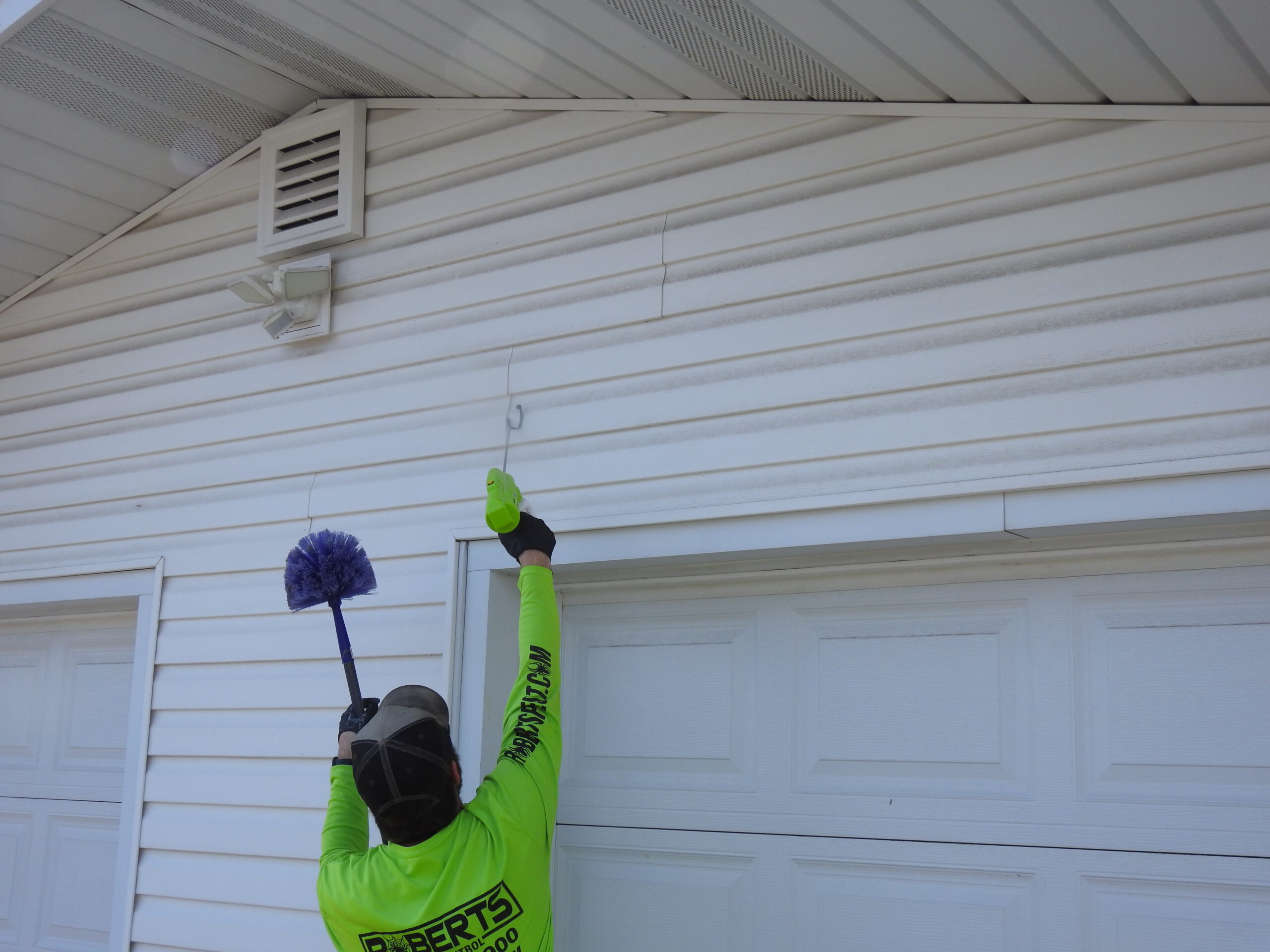 Roberts Pest Control wasp and bee removal service in St. Louis