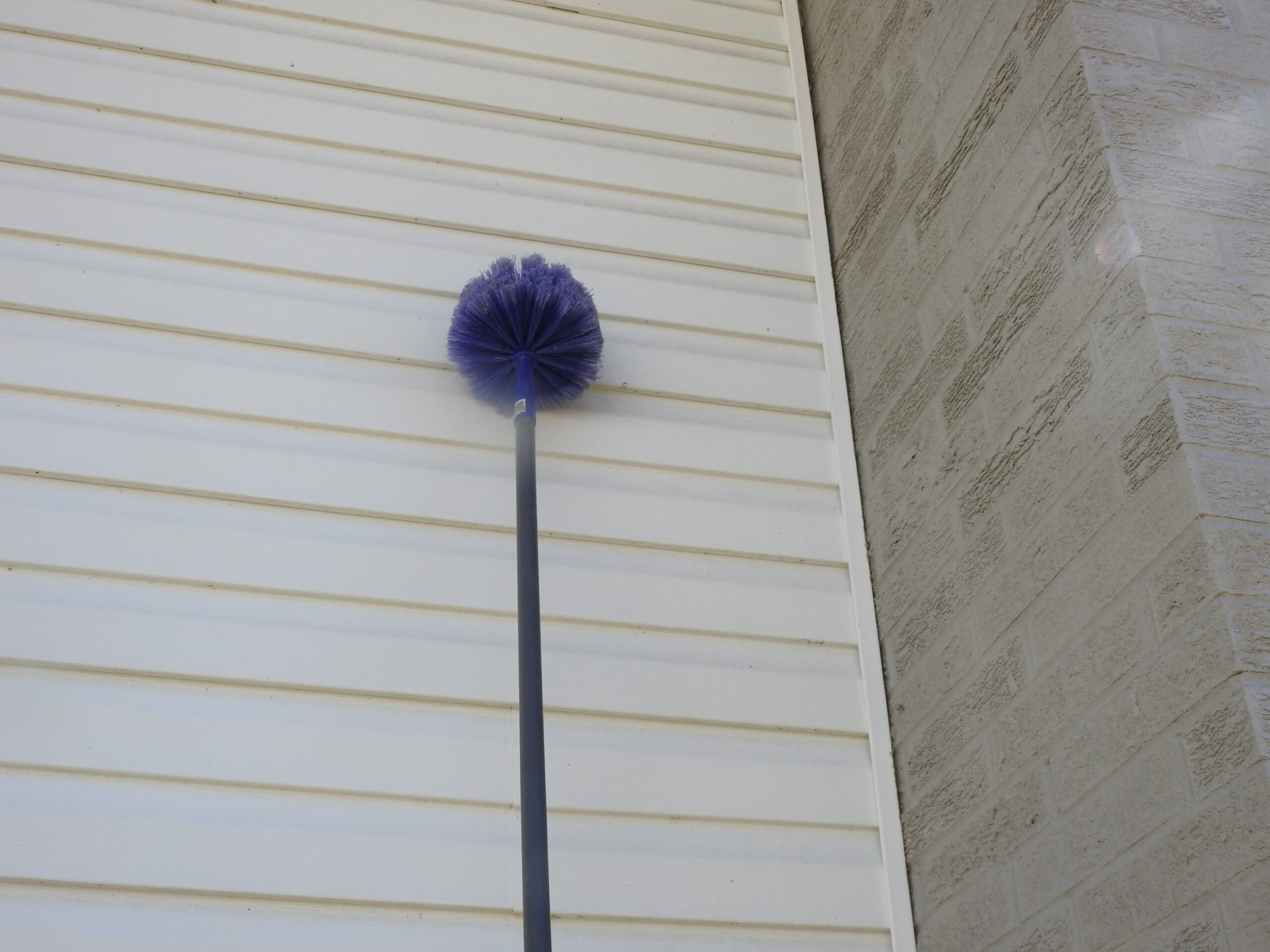 Roberts Pest Control spider control service in St. Louis