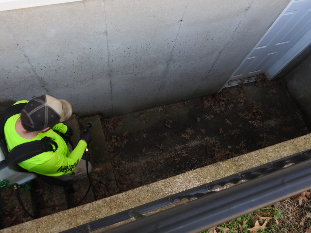 Pest control technician applying treatment near a basement entry in Ste. Genevieve, MO 63670 for pest prevention.