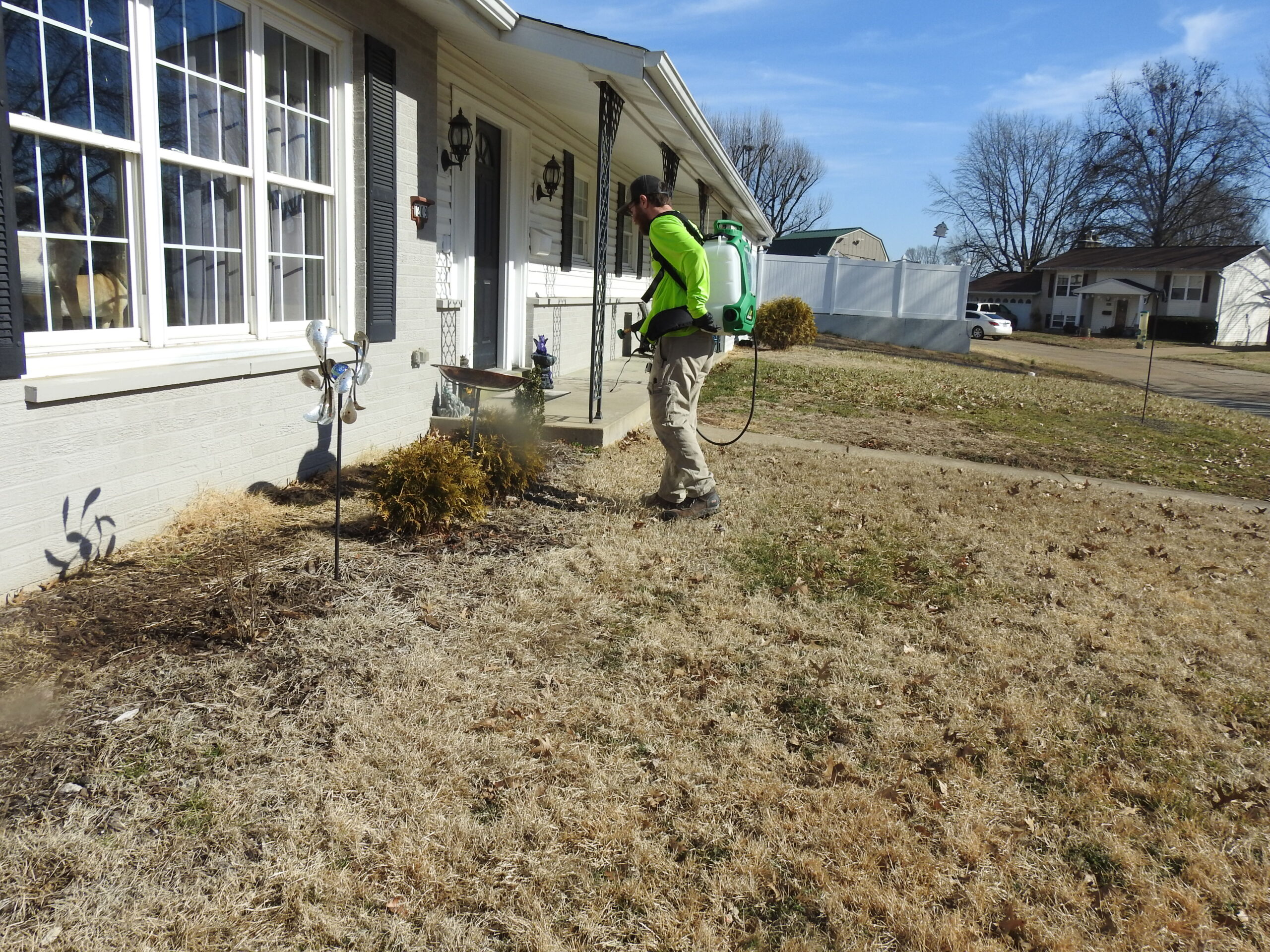Roberts Pest Control ant control service in St. Louis