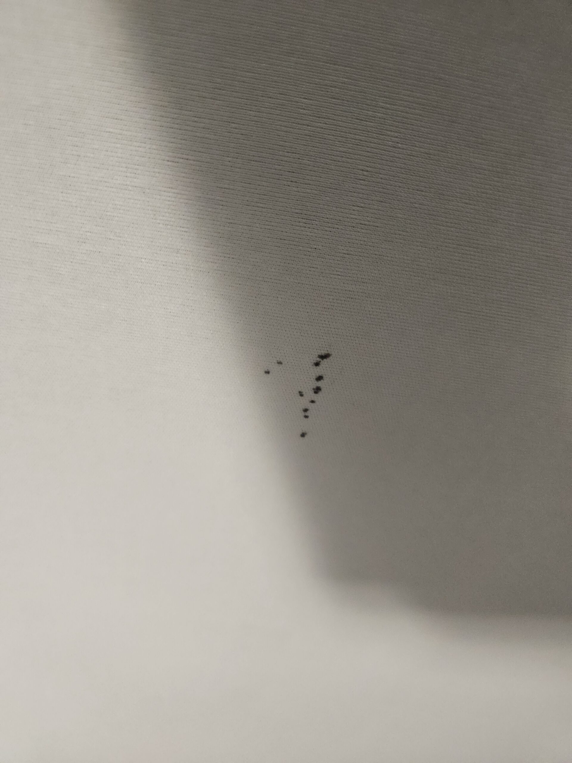 Bed bug fecal stains on mattress - Roberts Pest Control