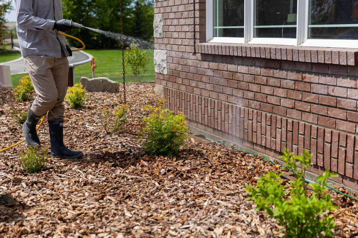 Exterior foundation perimeter treatment - Roberts Pest Control St. Louis