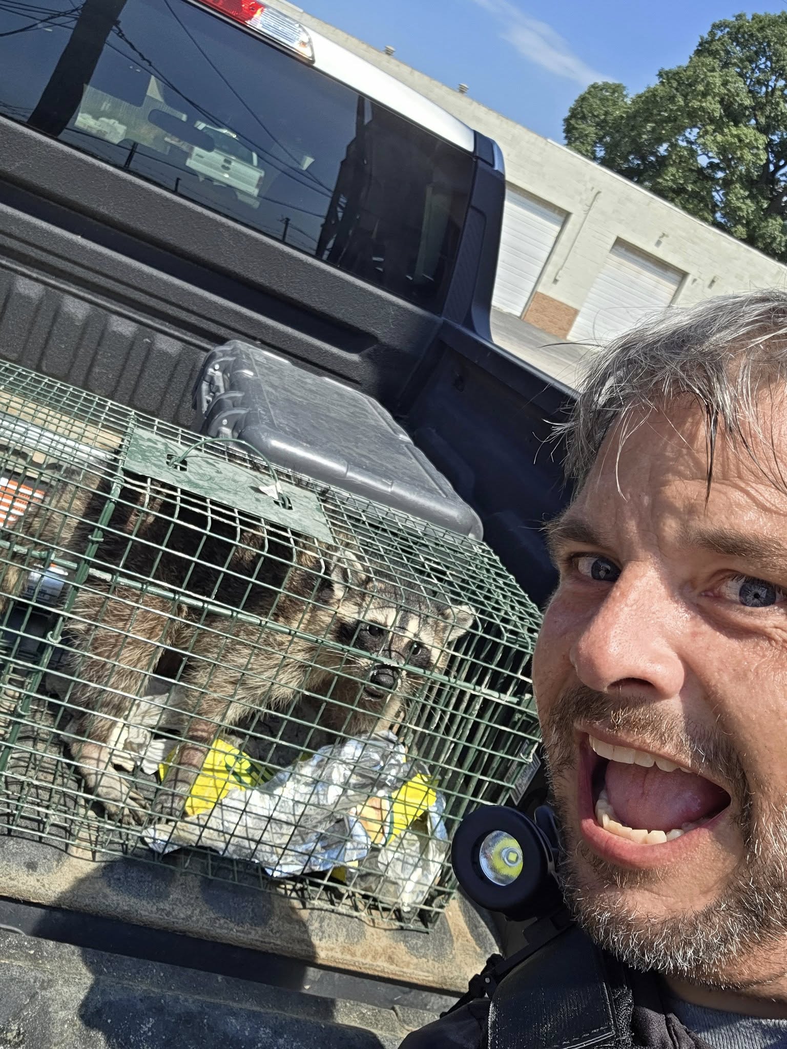 Wildlife removal specialist - Roberts Pest Control