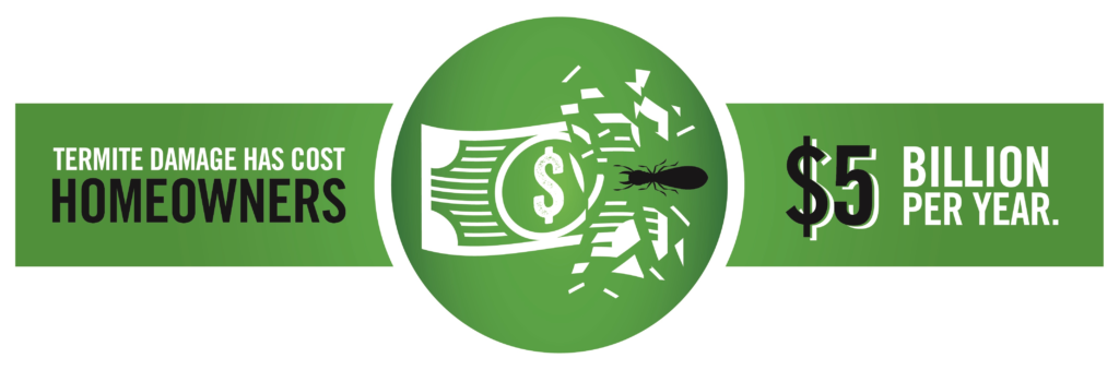 Infographic showing termites cause $5 billion in property damage per year in the United States