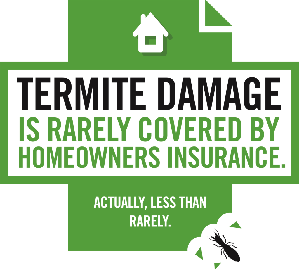 Infographic showing most homeowners insurance policies do not cover termite damage in Missouri