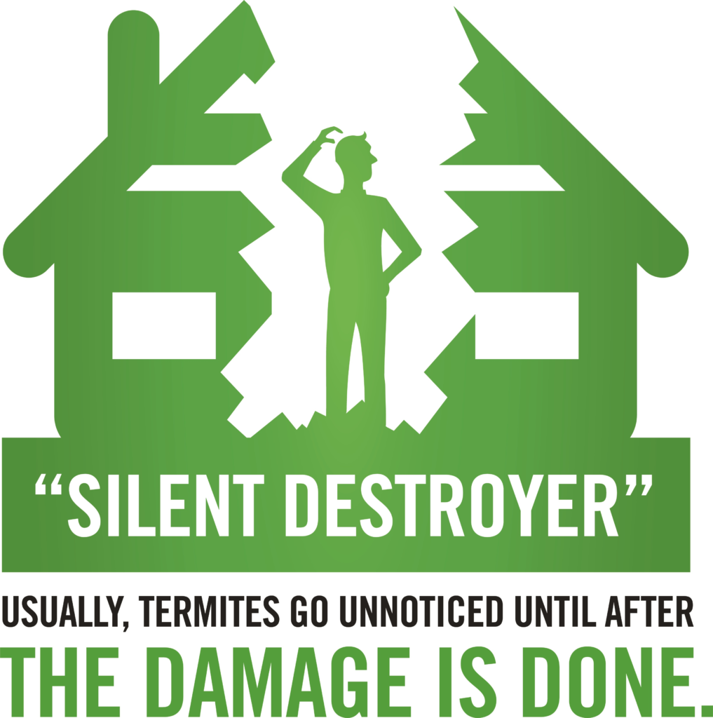 Infographic explaining why termites are called silent destroyers — hidden damage behind walls