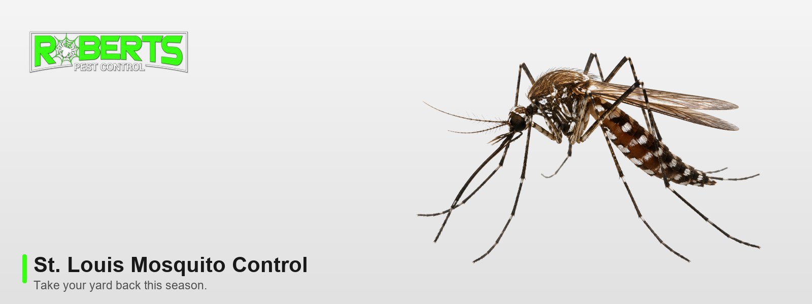 Roberts Pest Control St. Louis mosquito control, featuring a mosquito
