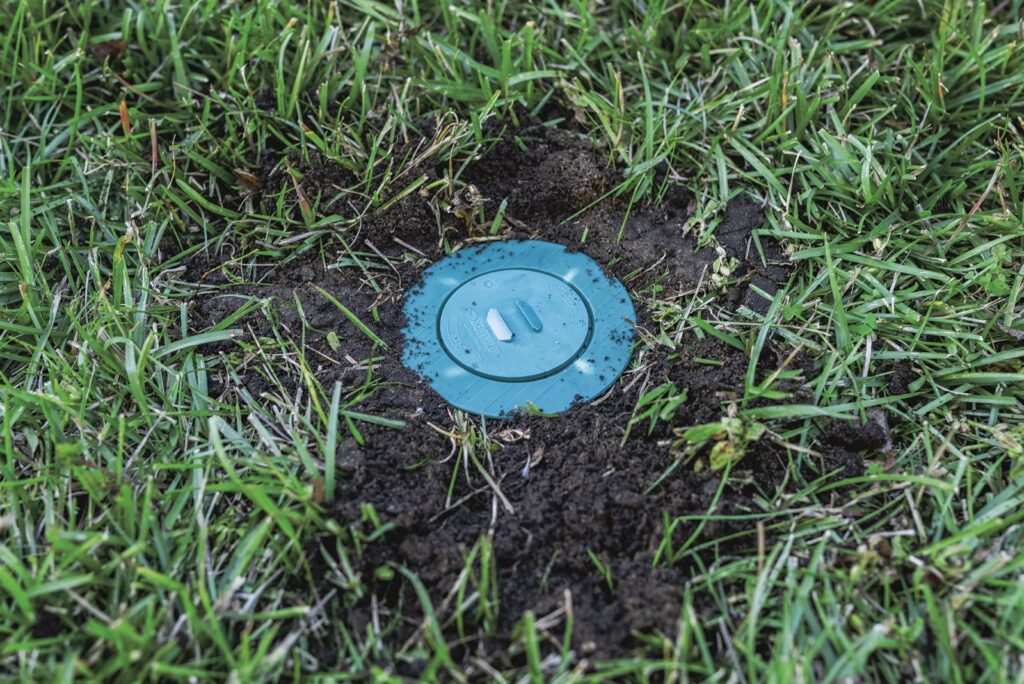 Discreet Sentricon in-ground termite station cap installed flush with a grassy lawn